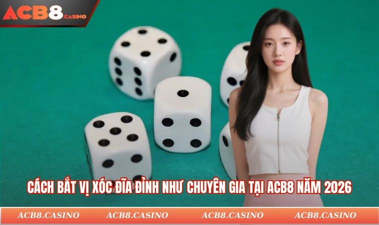 Cách Bắt Vị Xóc Đĩa