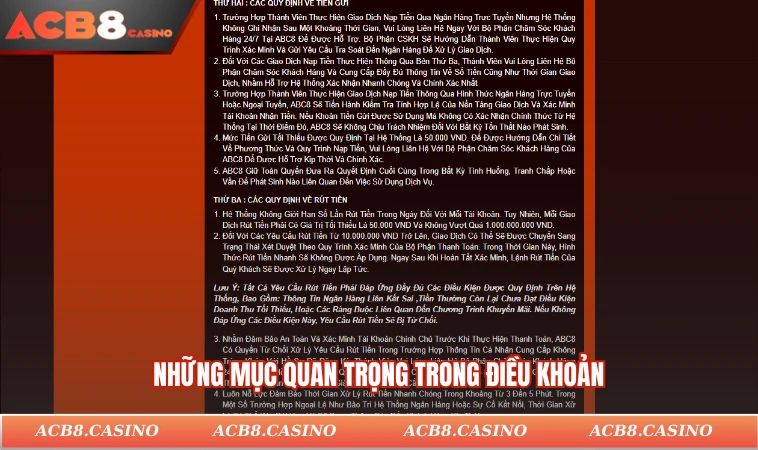 Những mục quan trọng nổi bật trong điều khoản