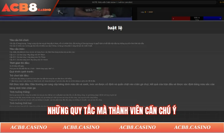 Những quy tắc mà thành viên cần chú ý