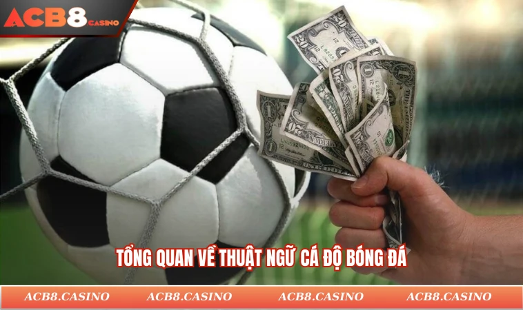 Tổng quan về thuật ngữ cá độ bóng đá